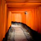 10 000 Torri, Kyoto, Japon