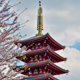Temple, Tokyo, Japon