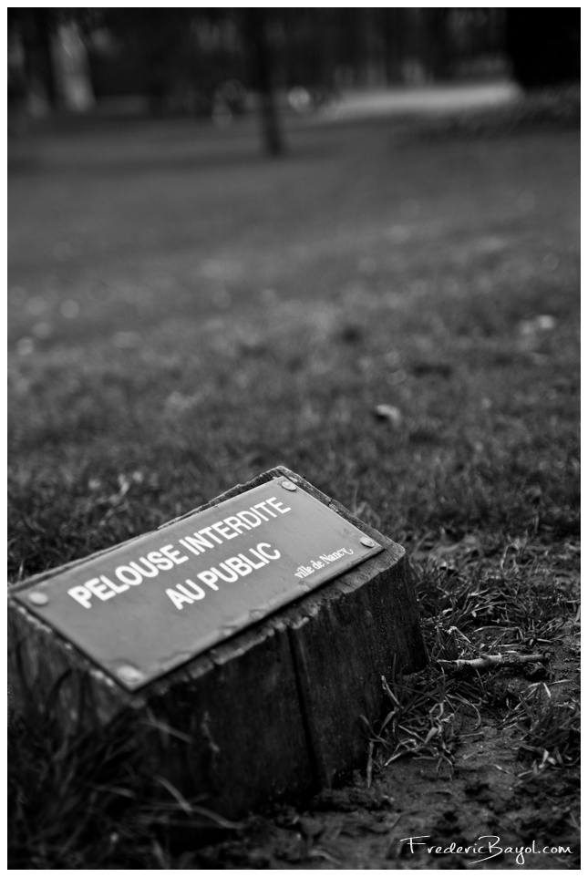 Pelouse Interdite, nancy