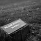 Pelouse Interdite, nancy