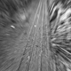 Déraillement
