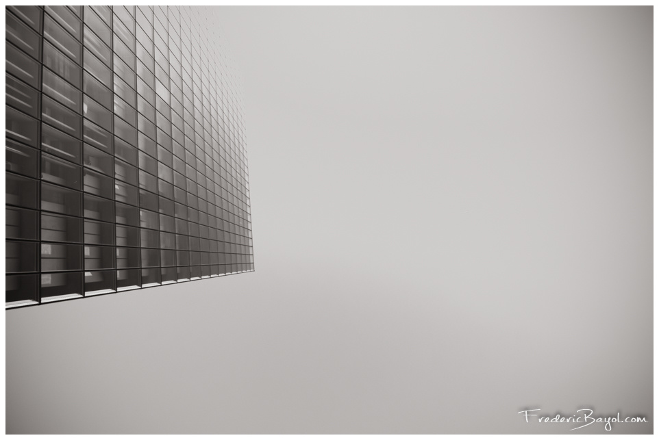 Dans le brume