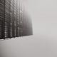 Dans le brume