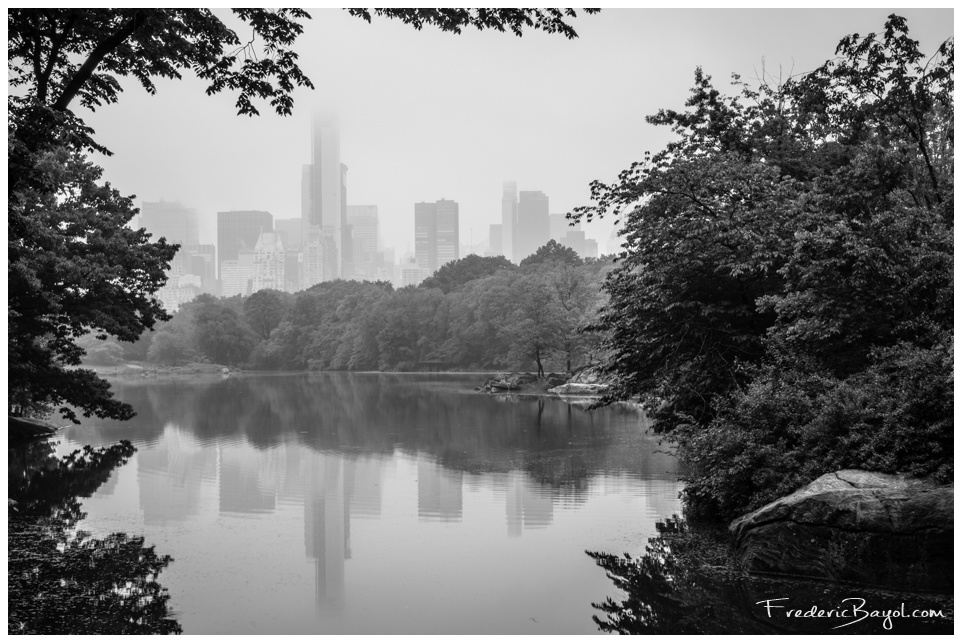 Foggy Central Park, New York