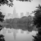 Foggy Central Park, New York