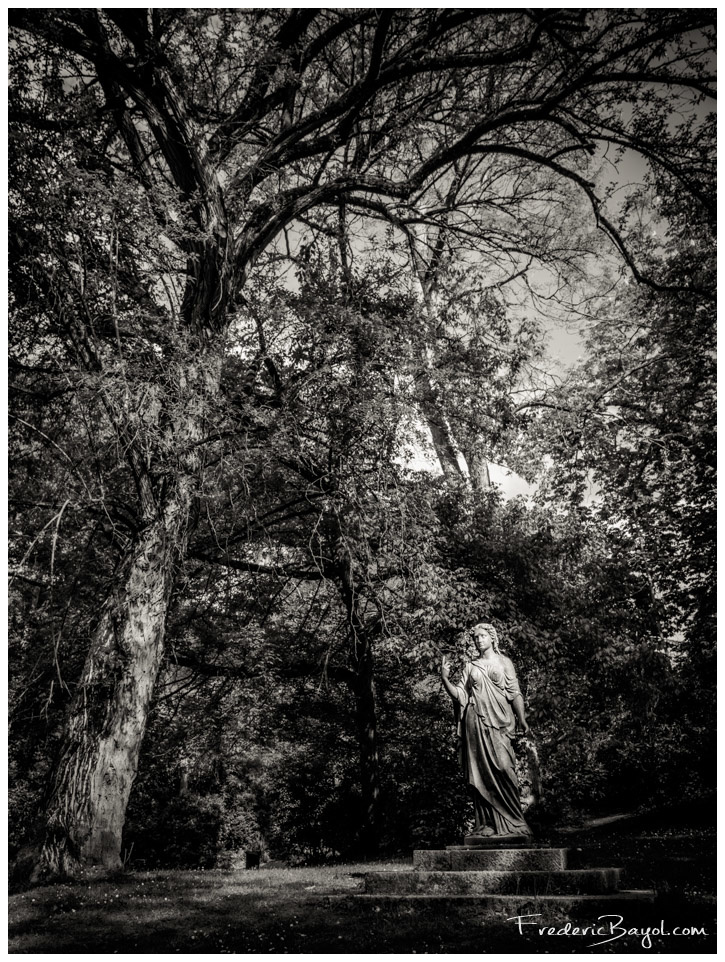 Statue, Jardin Des Plantes, Montauban