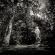 Statue, Jardin Des Plantes, Montauban