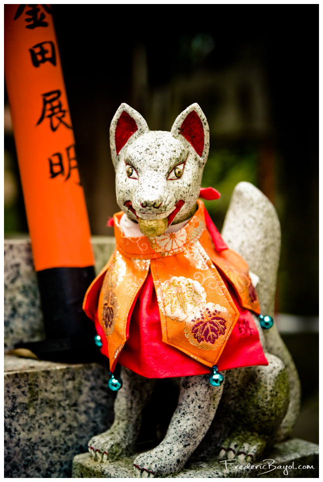 Renard De Garde, Kyoto, Japon