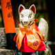 Renard De Garde, Kyoto, Japon