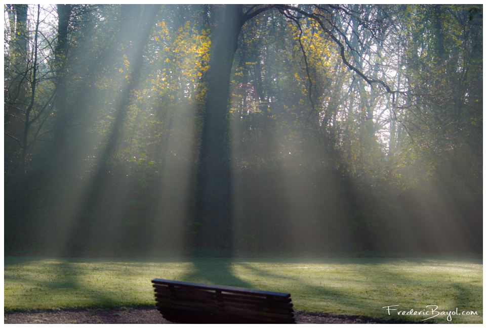 Raies De Lumière, Haubourdin