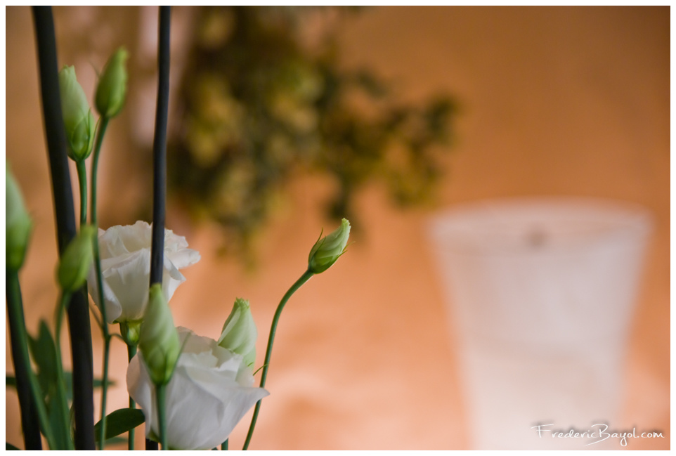Exposition Florale, Lesquin
