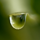 Vie Suspendue, Haubourdin