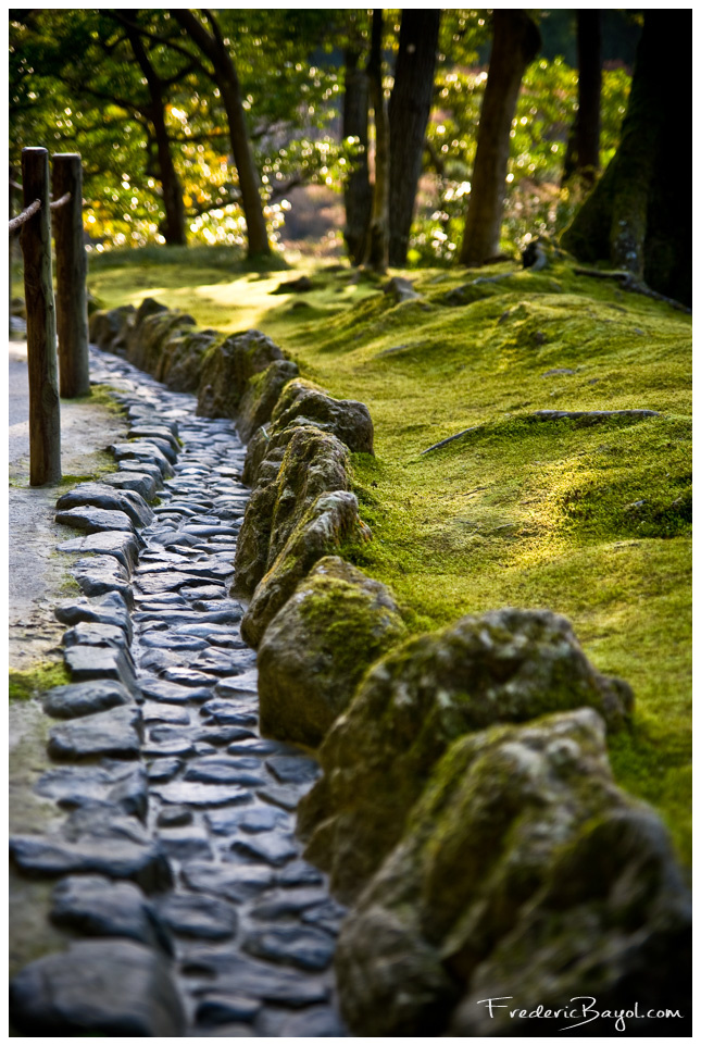 Chemin De Pluie, Kyoto, Japon