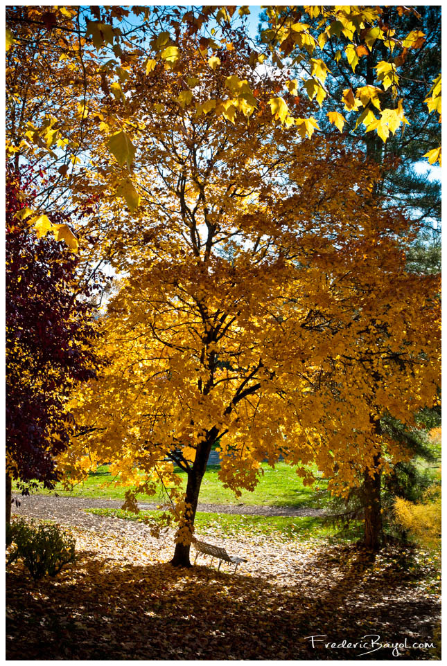 Jardin Public, Cransac Les Thermes