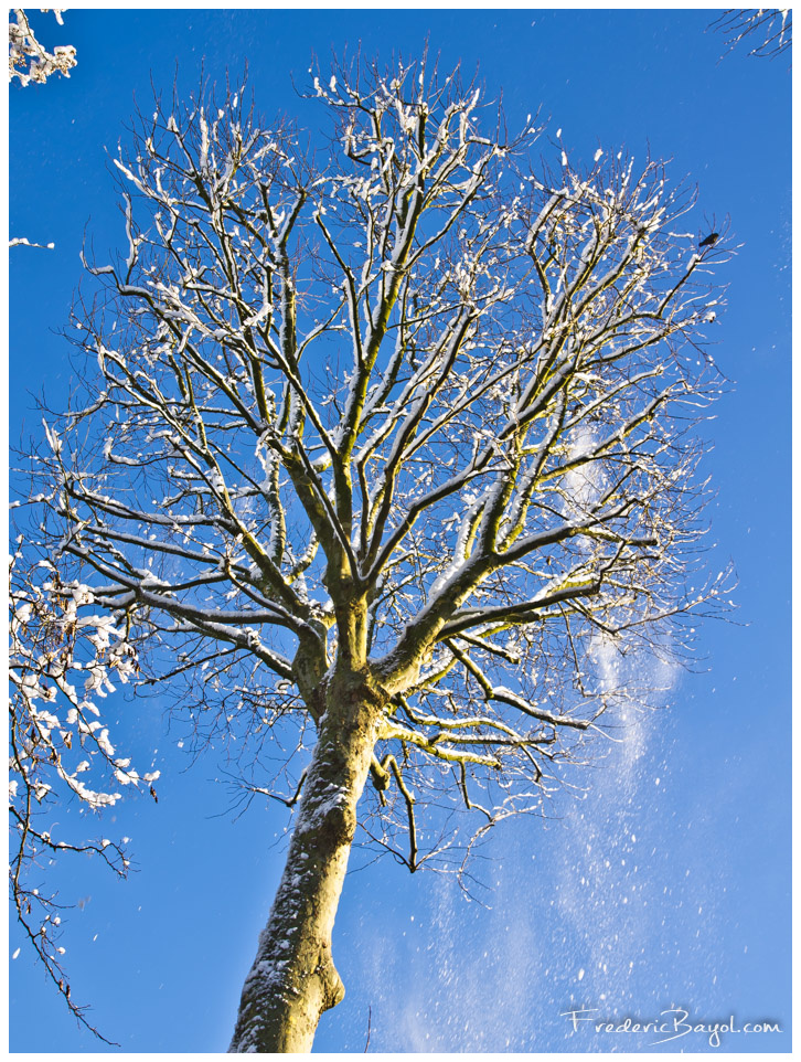 Balai à Neige