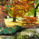 Fall In Parc Barbieux