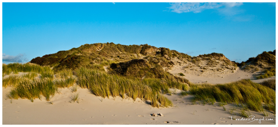 Dunes Ensoleillées, Etaples