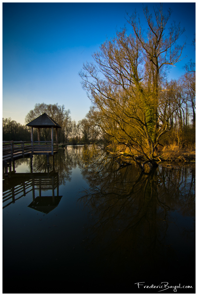 Réflexions sur la nature