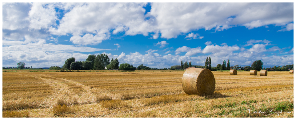 Le Temps des Moissons