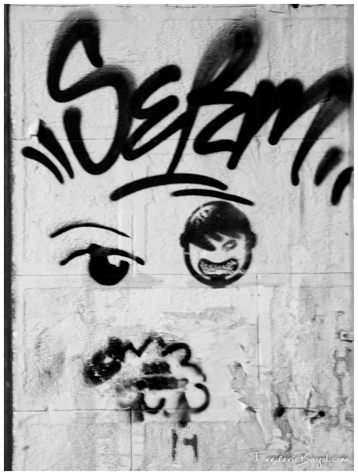 Taged Brother, Bucarest, Roumanie