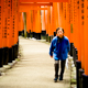 10 000 Torri, Kyoto, Japon