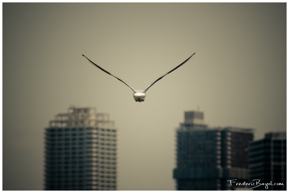 Going Home!, Tokyo, Japon