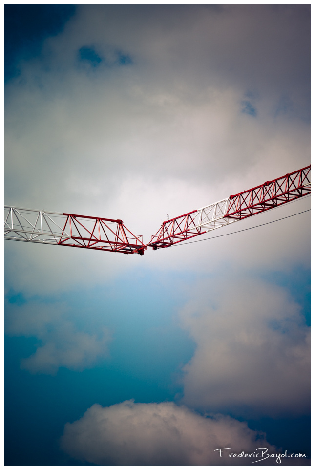 Grues Amoureuses, Villeneuve d'Ascq