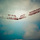 Grues Amoureuses, Villeneuve d'Ascq
